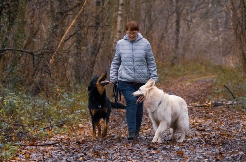 Comment le chien apprend