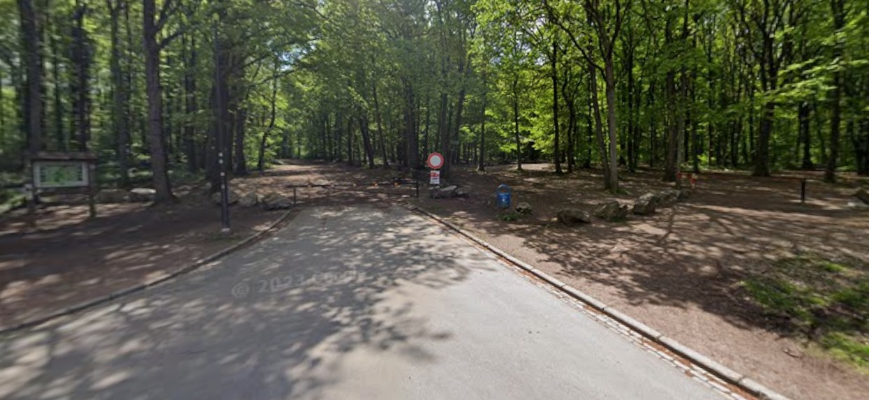 Balade bois du Prince